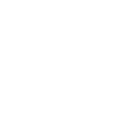 Vivid Visions Logo
